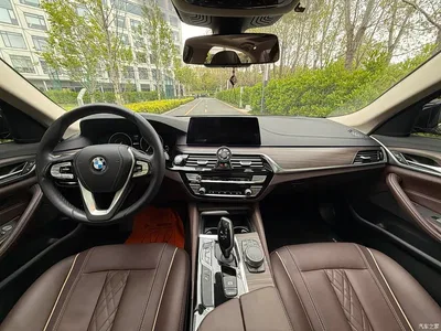 2019 BMW 5 Series New Energy 530Le Luxury Package, фото 4, лот 10474083