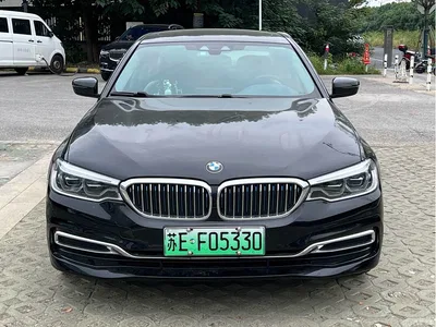 2019 BMW 5 Series New Energy Facelift 530Le Luxury Package, фото 3, лот 11174598