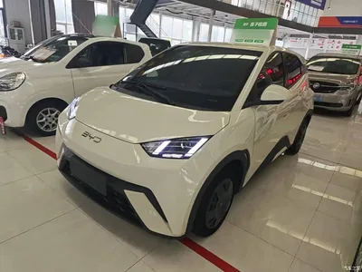 2024 BYD Seagull Glory Edition 305km Vitality Edition, фото 1, лот 11249617