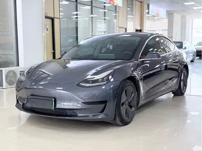 2020 Tesla Model 3 Long Range Rear-Wheel Drive, фото 1, лот 10351563