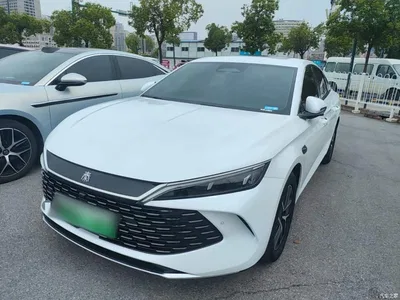 2025 BYD Qin L DM-i Smart Drive Edition 120KM Surpassing, фото 2, лот 10435051