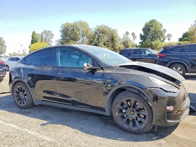 2024 TESLA MODEL Y, фото 4, лот 10853659
