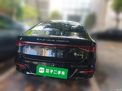 2024 BYD Qin PLUS Glory Edition DM-i 55KM Surpass, фото 3, лот 11221936