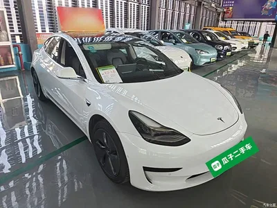 2020 Tesla Model 3 Standard Range Rear-Wheel Drive Upgrade, фото 4, лот 10370170