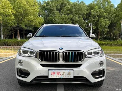 2015 BMW X6 xDrive28i, фото 2, лот 10469564