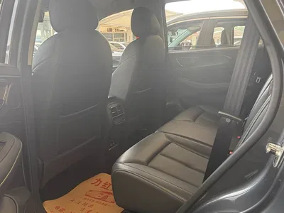 2021 Roewe RX5 PLUS 330TGI Automatic National Trend Premium Edition, фото 4, лот 10342634