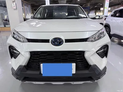 2021 Toyota Wildlander Hybrid 2.5L E-CVT 2WD Luxury Edition, фото 2, лот 10278924