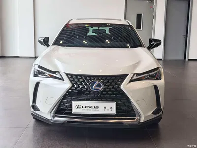2019 Lexus UX 260h Explorer Fun Edition (China V), фото 2, лот 10480953
