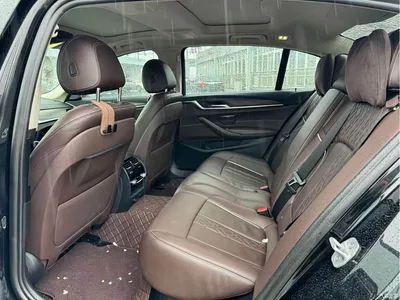 2019 BMW 5 Series New Energy 530Le Luxury Package, фото 3, лот 11210908