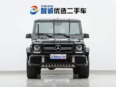 2016 Mercedes-Benz G-Class AMG Model AMG G 63 Edition 463, фото 3, лот 10364058