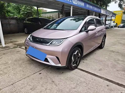 2021 BYD Dolphin Model 405km Fashion Edition, фото 1, лот 11087434