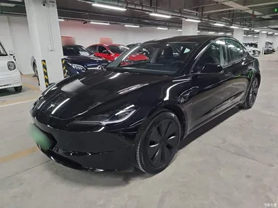 2023 Tesla Model 3 Rear-Wheel Drive, фото 2, лот 10370325