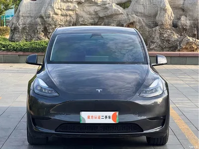 2024 Tesla Model Y Rear-Wheel Drive Version, фото 2, лот 10404615