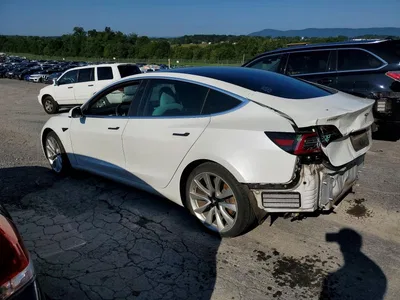 2019 TESLA MODEL 3, фото 2, лот 10854326
