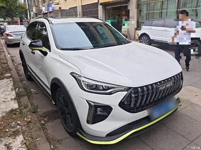 2021 Haval Chitu Boost Edition 1.5T Platinum Rabbit, фото 4, лот 11137499