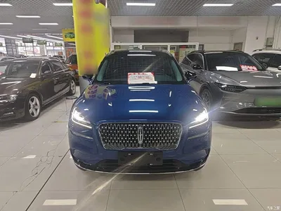 2020 Lincoln Adventurer 2.0T 2WD Premium Enjoyment Edition, фото 3, лот 11136663
