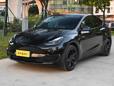 2022 Tesla Model Y Facelift Rear-Wheel Drive Version, фото 1, лот 10395198