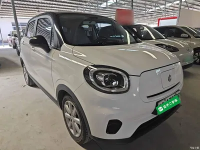 2022 Leapmotor T03 Agate Edition, фото 4, лот 10441997
