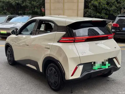 2024 BYD Seagull Glory Edition 305km Vitality Edition, фото 3, лот 10257742