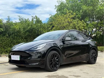 2023 Tesla Model Y Long Range All-Wheel Drive Edition, фото 1, лот 10393835