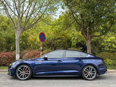 2017 Audi S5 3.0T Sportback, фото 4, лот 10469587