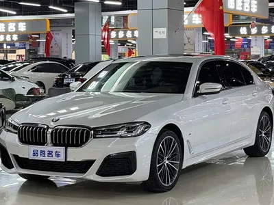 2022 BMW 5 Series 530Li Leading M Sport Package, фото 1, лот 11195471