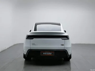 2025 Tesla Model Y Rear-Wheel Drive, фото 4, лот 11349698