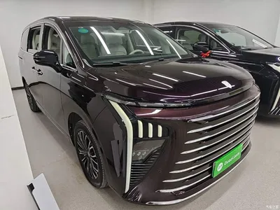 2024 Dongfeng Starlight V9 1.5TD 200km Cloud Ladder Series Premium, фото 4, лот 11165857