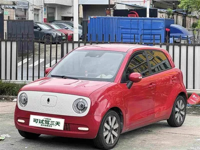 2021 Ora Black Cat 405km Long Range Model, фото 1, лот 10331579
