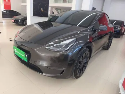 2022 Tesla Model Y Performance High-Performance All-Wheel Drive Version, фото 1, лот 10369876