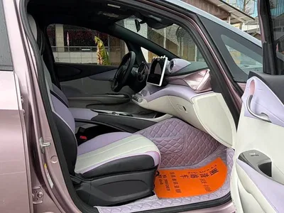 2021 BYD Dolphin 401km Knight Edition, фото 3, лот 11017678