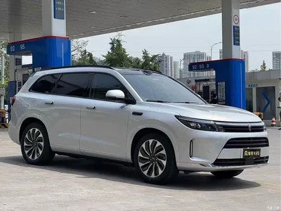 2024 AITO Wenjie AITO M7 Model 1.5T Smart Drive RWD Max 5-Seater, фото 2, лот 10277544