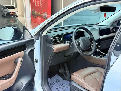 2023 Leapmotor C11 Pure Electric 500 Smart Edition, фото 4, лот 11549849
