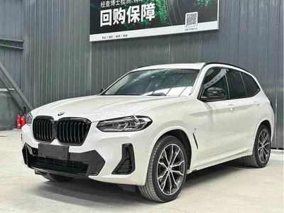 2023 BMW X3 Facelift xDrive30i Leading M Night Package, фото 1, лот 10414753
