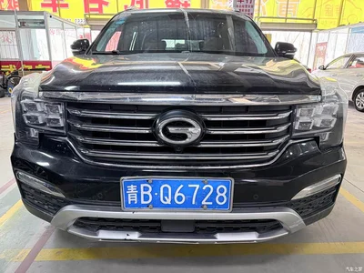 2017 GAC Trumpchi Trumpchi GS8 320T 2WD Luxury Smart Connect (7-seater), фото 2, лот 10415684