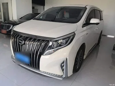2021 GAC Trumpchi Trumpchi M8 Master Series 390T Ultimate Edition, фото 2, лот 10421620