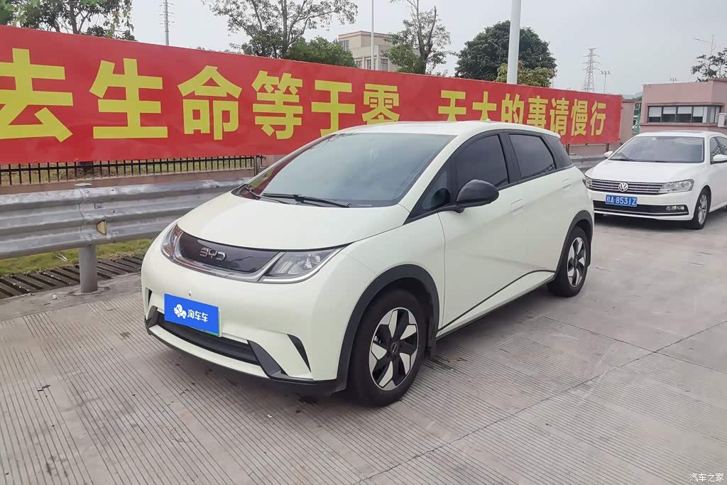 2025 BYD Dolphin 420km Freedom Edition, фото 1, лот 11228184