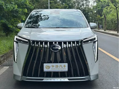 2024 GAC Trumpchi Trumpchi M8 Patriarch Series Twin Engine Royal Edition, фото 2, лот 10419722