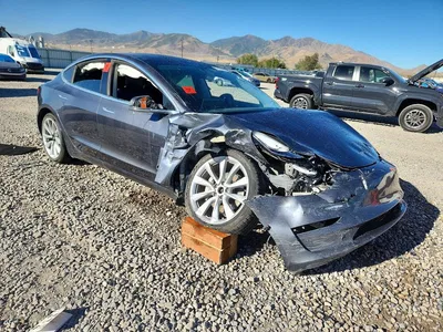 2019 TESLA MODEL 3, фото 4, лот 10856649