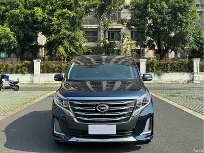 2020 GAC Trumpchi Trumpchi M8 Pilot 390T Premium Edition, фото 2, лот 10420055