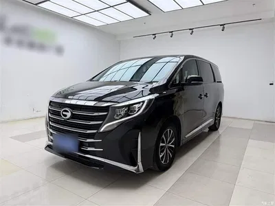 2023 GAC Trumpchi Trumpchi M8 Leading Series 390T Premium Edition, фото 1, лот 10426196