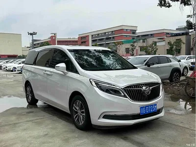 2017 Buick GL8 ES 28T Luxury China V, фото 3, лот 10306689