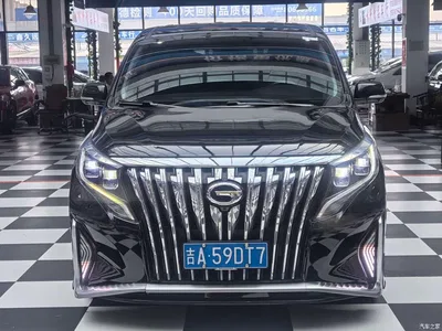2020 GAC Trumpchi Trumpchi M8 Master Edition 390T Premium, фото 2, лот 10418355