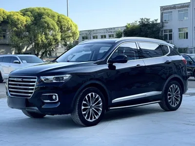 2020 Haval H6 1.5GDIT Automatic Platinum Champion Edition, фото 1, лот 10387685