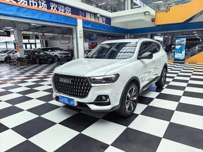 2023 Haval H6 National Trend Edition 1.5T Automatic Champion, фото 1, лот 10399009