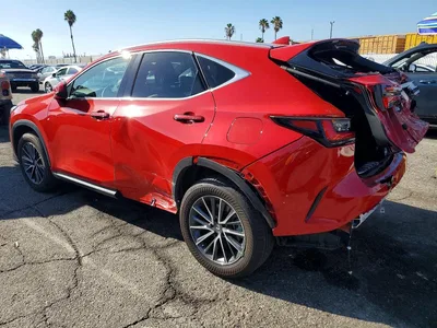 2023 LEXUS NX350, фото 2, лот 11154354