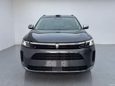 2024 AITO Wenjie AITO M7 1.5T Smart AWD Max 6-Seater, фото 2, лот 10616807