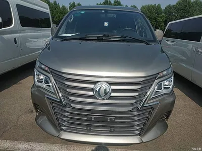 2020 Dongfeng Lingzhi M5L 1.6L Base Model 9-Seater, фото 3, лот 11158872