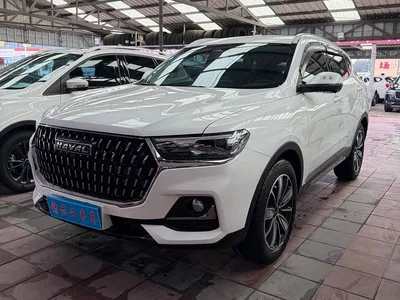 2023 Haval H6 National Trend Edition 1.5T Automatic Champion, фото 1, лот 10283657
