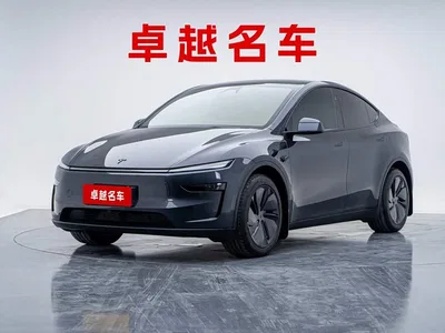 2025 Tesla Model Y Rear-Wheel Drive, фото 1, лот 10452742